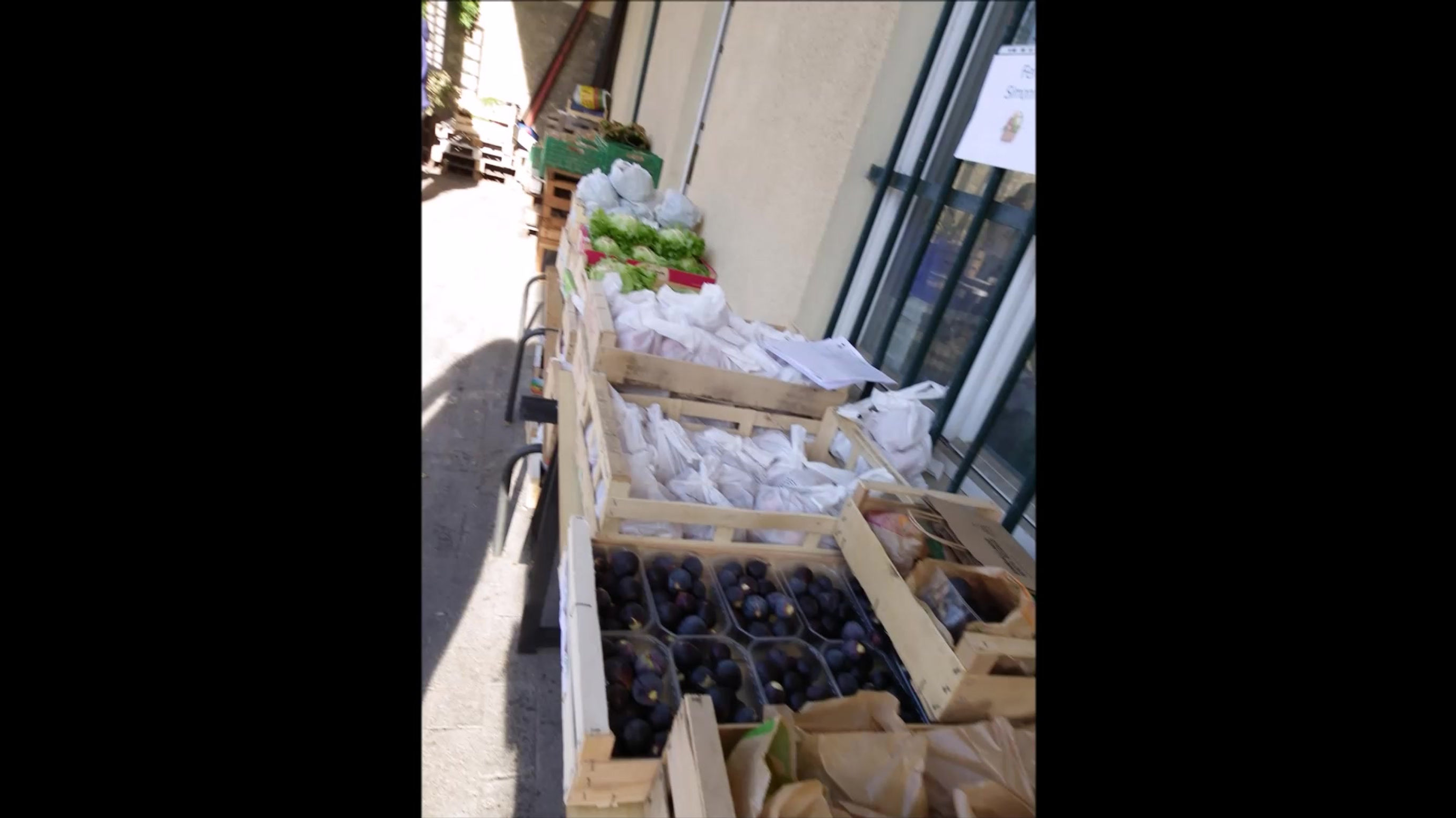 Toutes les vidéos